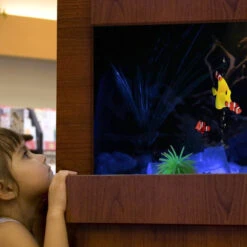 Dimplex Opti-V Aquarium 32-Inch UL Listed Built-in Linear Electric Aquarium (VFA2927) -Top Tier Shop dimplex dimplex opti v aquarium 32 ul listed built in linear electric aquarium vfa2927 22436662275