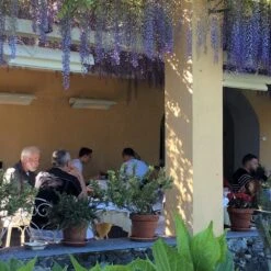 Heatscope Spot 35-Inch Dual Element 2800W 240V Infrared Electric Heater -Top Tier Shop heatscope heatscope spot 35 dual element 2800w 240v infrared electric heater 14405613781086