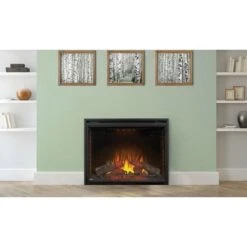 Napoleon Ascent 40-Inch Built-in Electric Firebox (NEFB40H) -Top Tier Shop napoleon napoleon ascent 40 built in electric firebox nefb40h 28323442819166